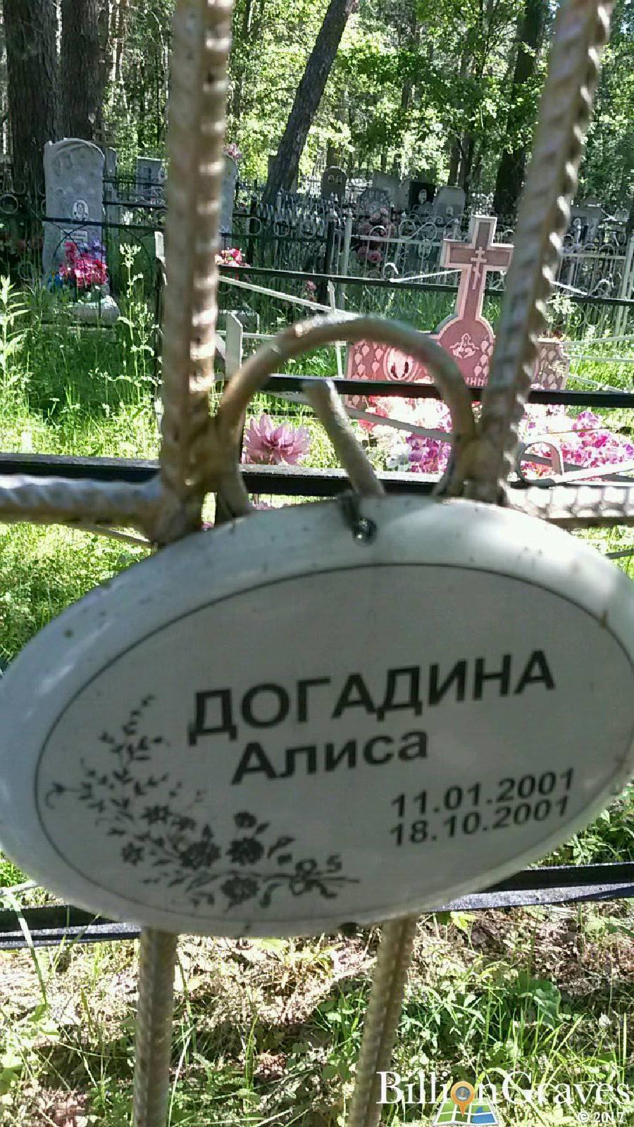 Догадина Алиса