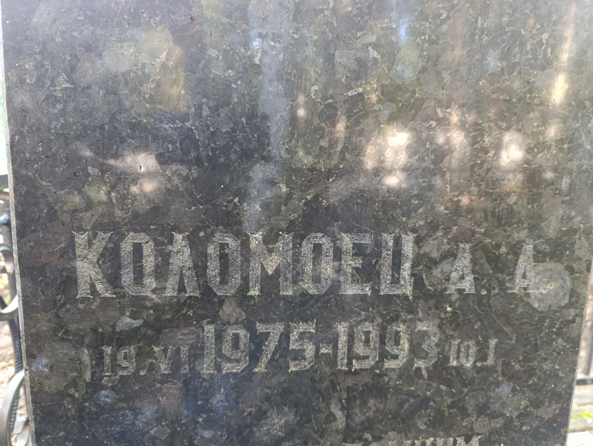 Коломоец А А