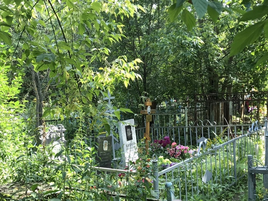 Китаев Николай Павлович