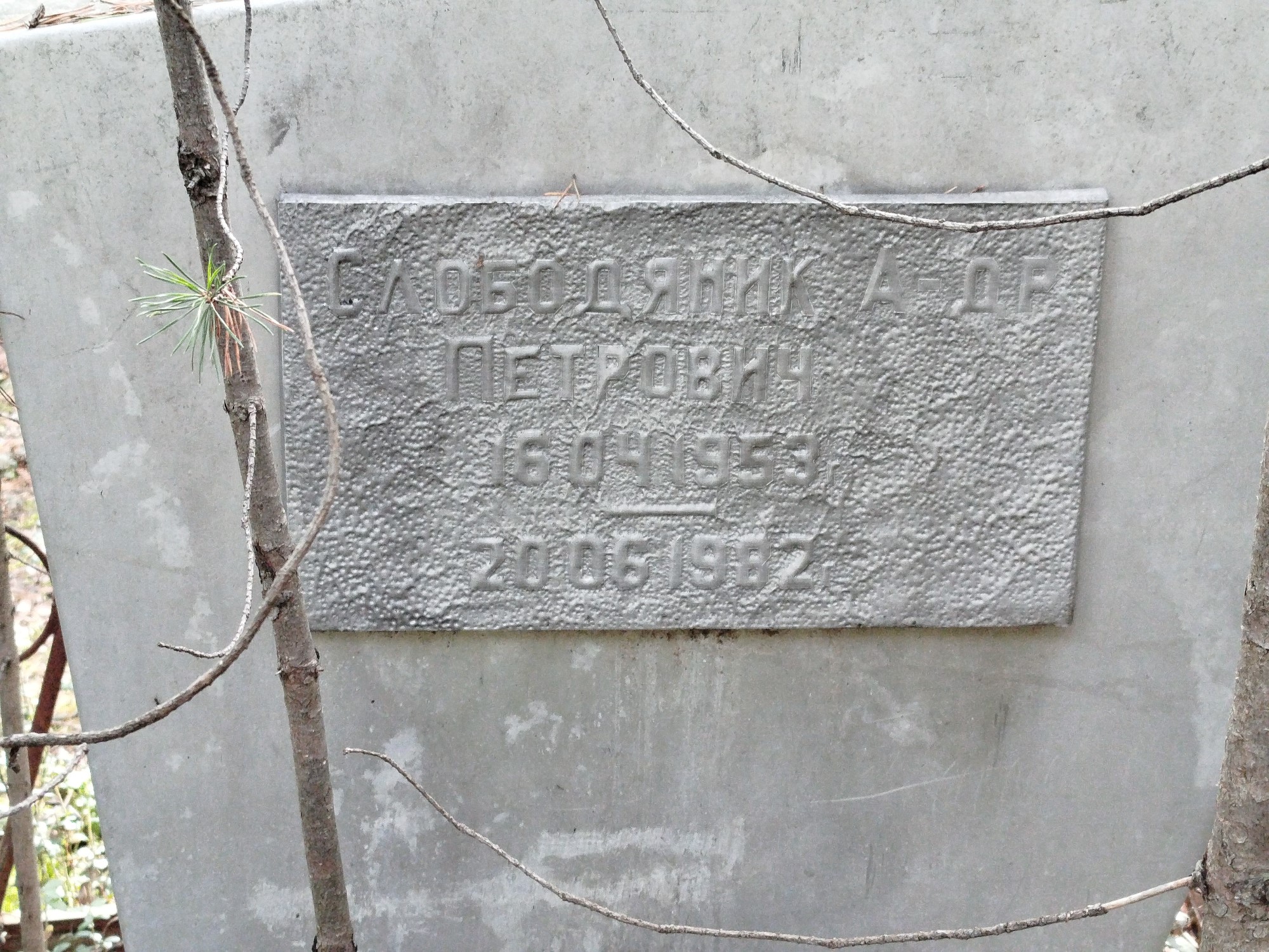 Слободяник Александр Петрович