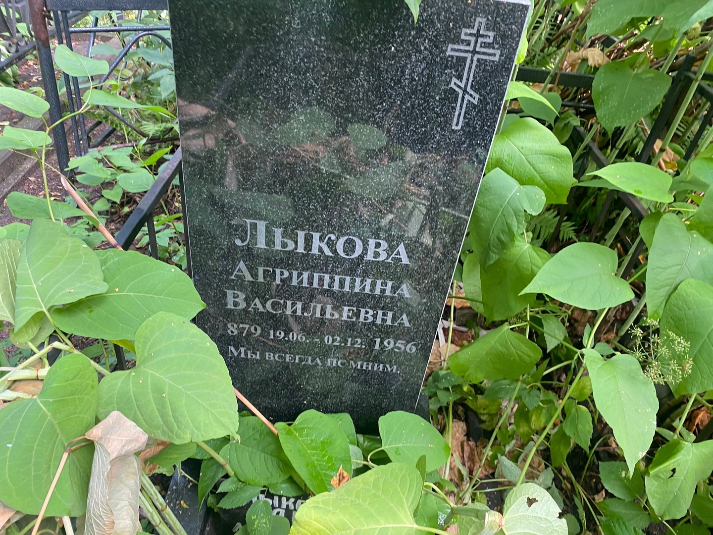 Агриппина Лыкова Васильевна