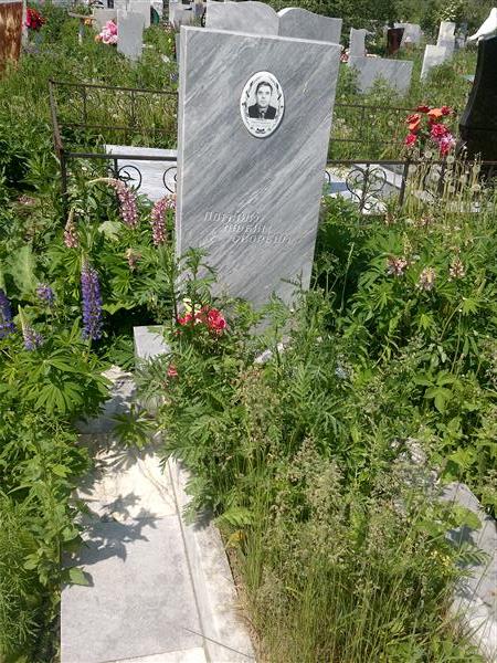 Шмидт Карл Генрихович