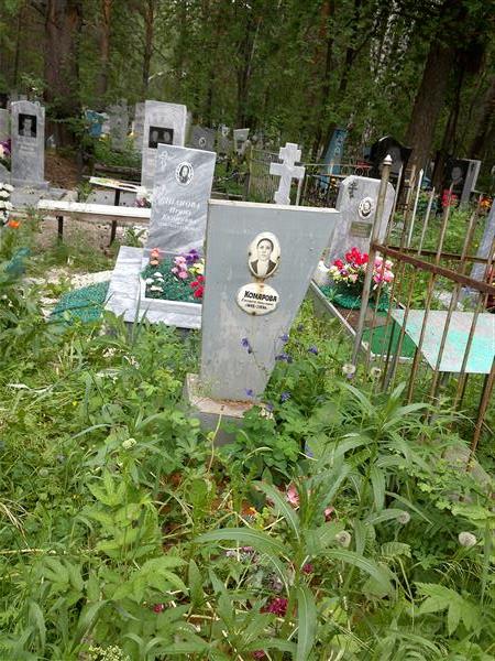 Комарова Елизавета Кирилловна