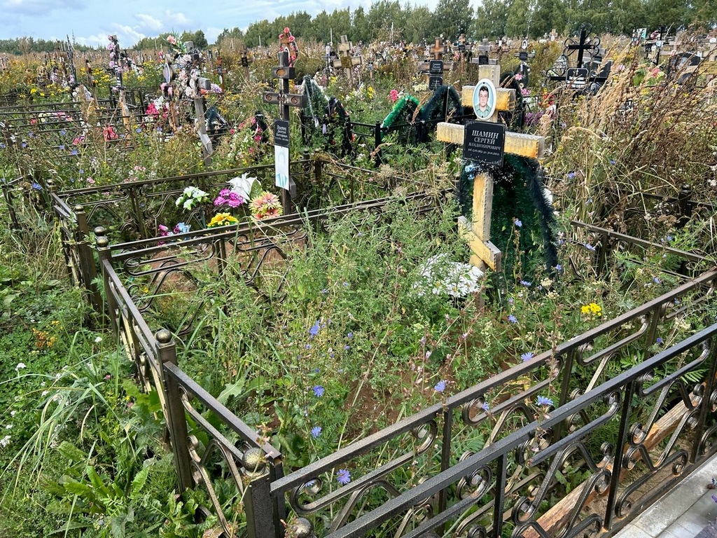 Шамин Сергей Владимирович