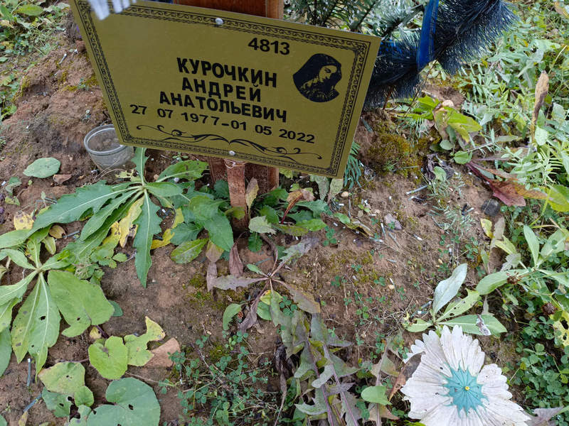 Курочкин