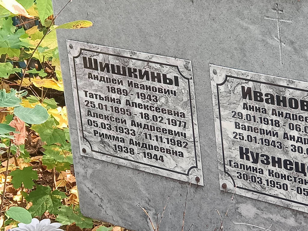 Шишкина Татьяна Алексеевна