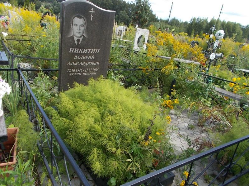 Никитин Валерий Александрович