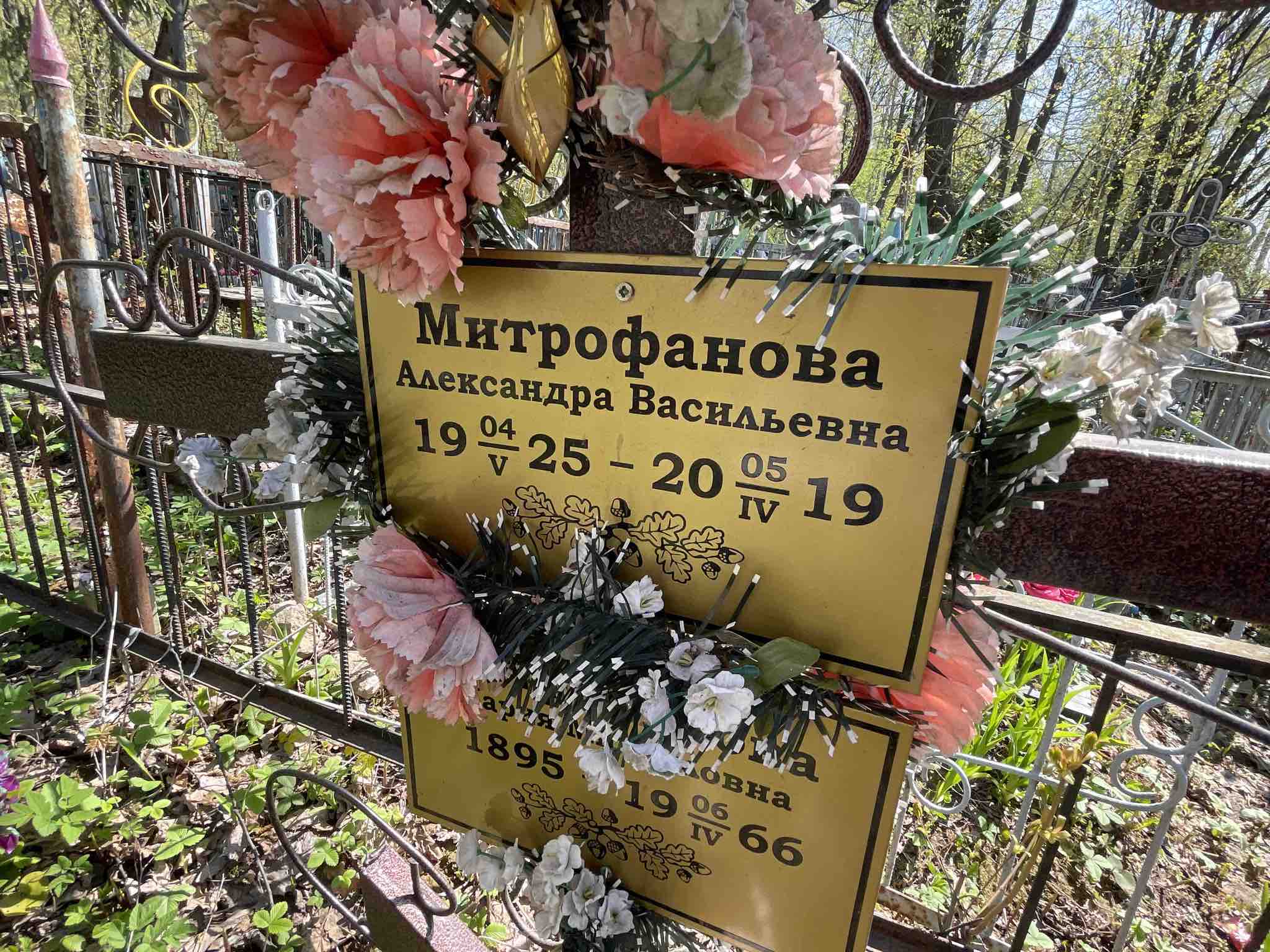 Митрофанова Александра Васильевна