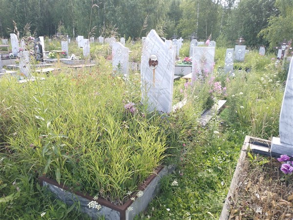 Теплых Владимир Аркадьевич