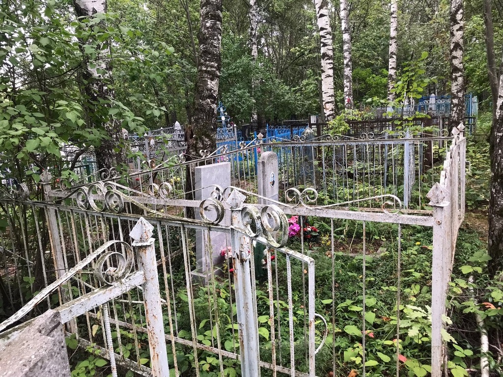 Целовальников Михаил Иосифович
