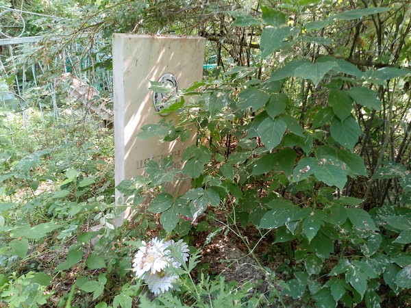 Шубкина Любовь Егоровна