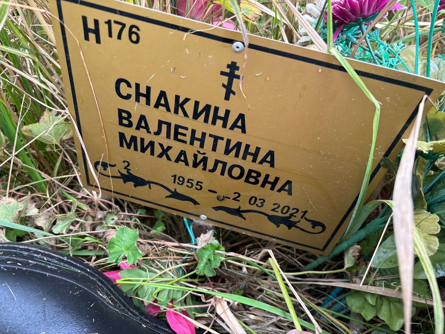 Снакина
