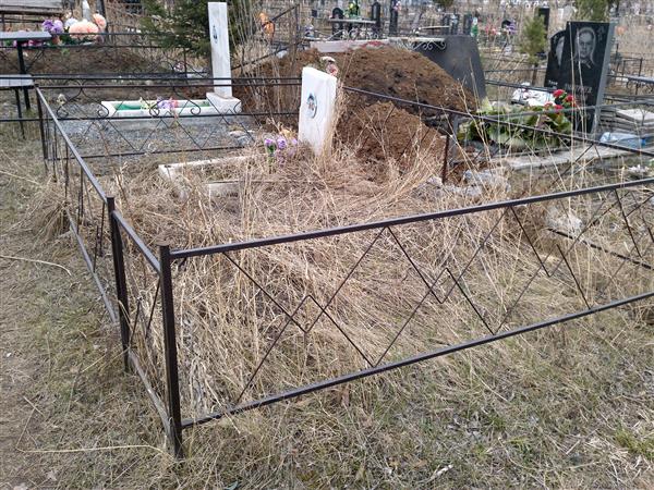 Чиркова Алена Владимировна