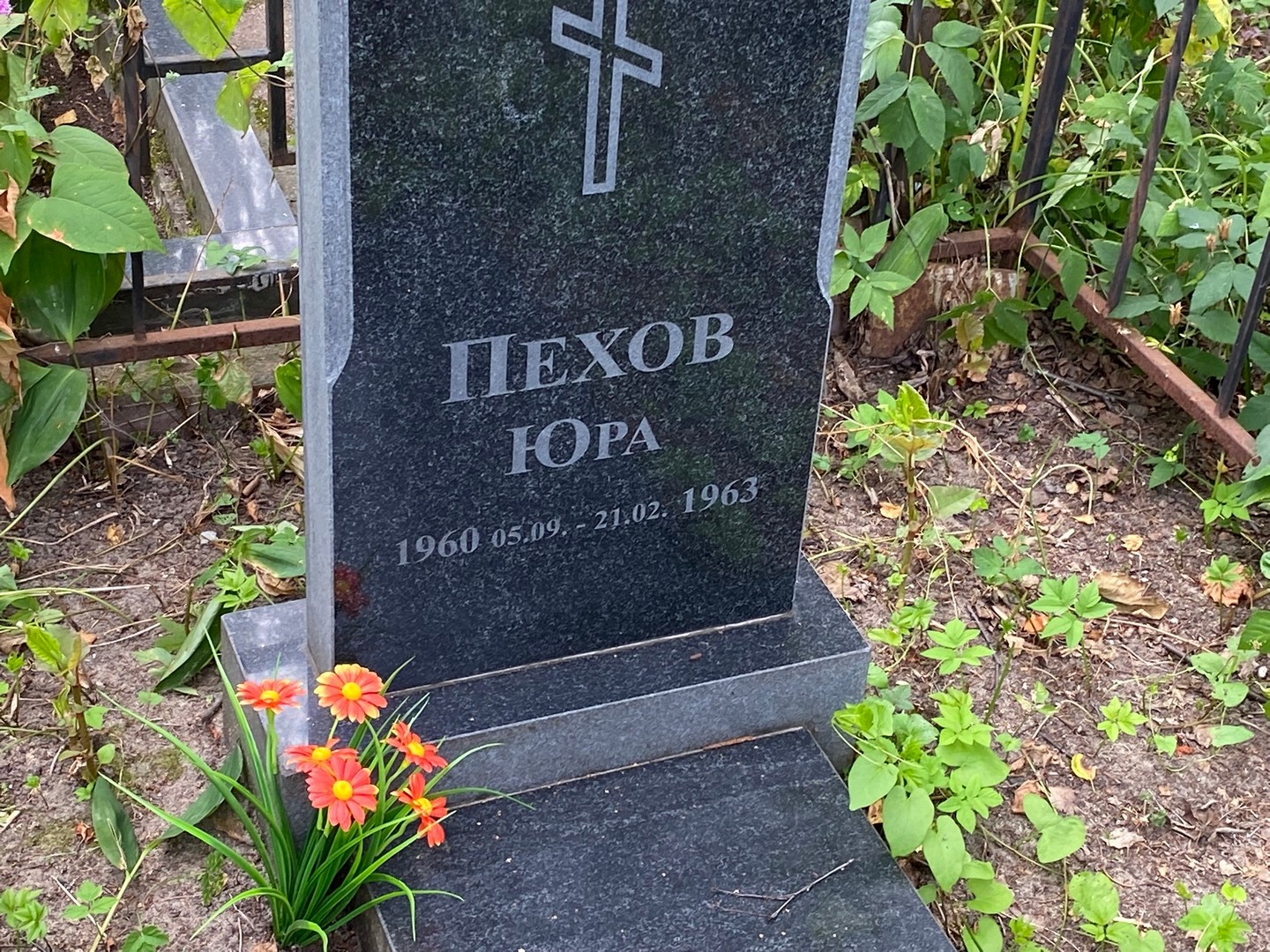 Пехов Пехов