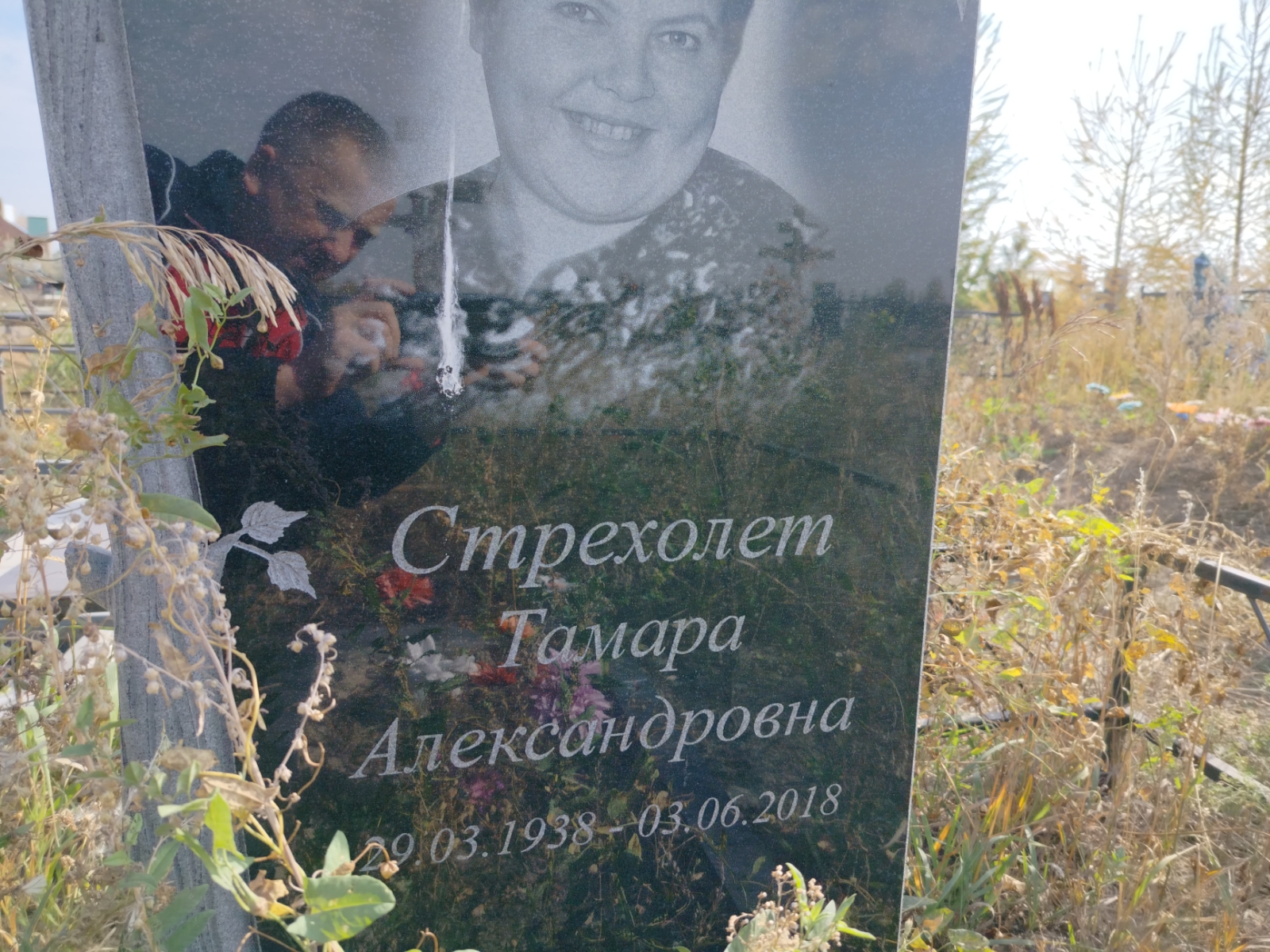 Стрехолет Тамара Александровна