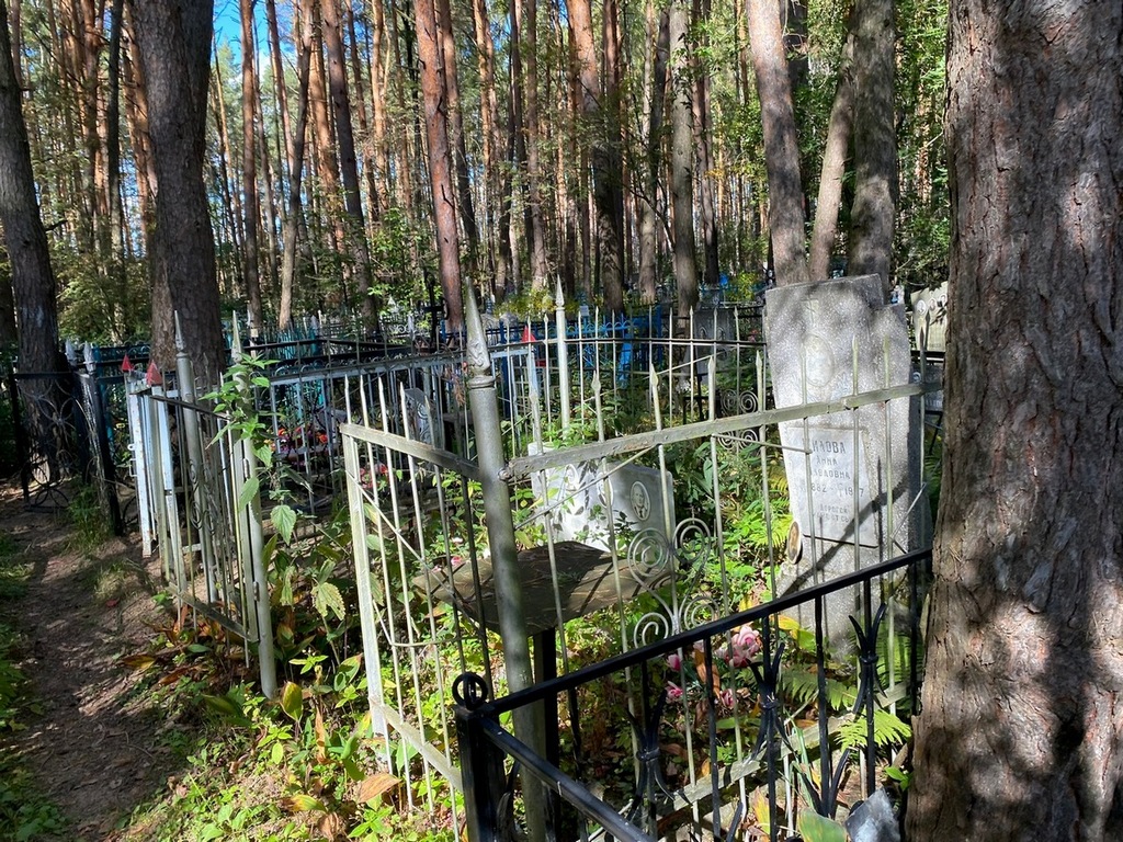 Куимов Александр Александрович