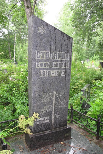 Столяров Ефим Львович