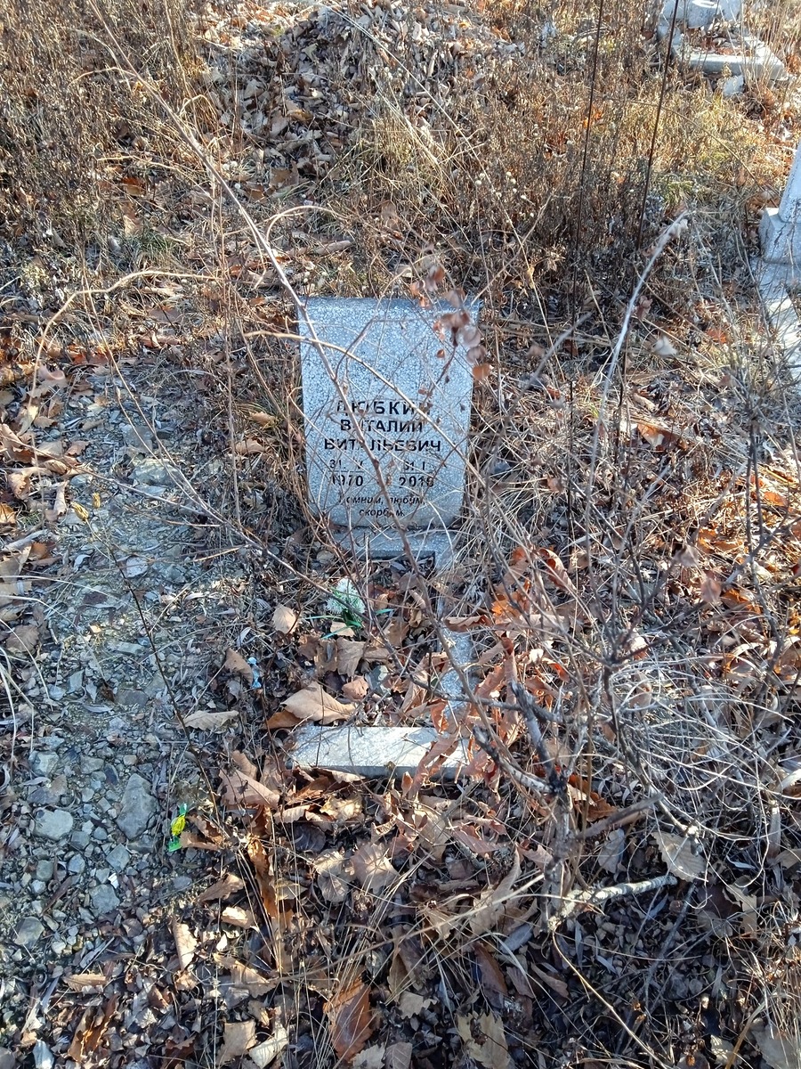 Дюбкин Виталий Витальевич