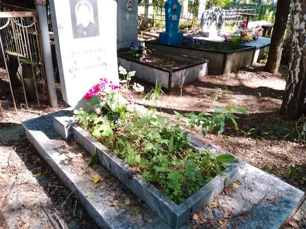 Дубровин Николай Степанович