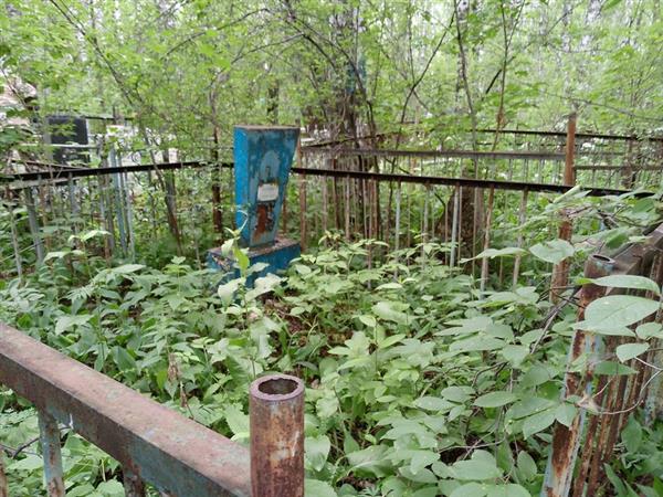 Шарапова Любовь Анатольевна