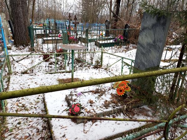 Шашова Нина Александровна
