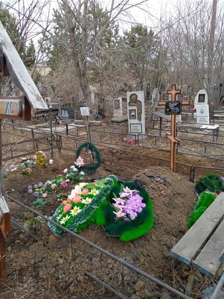 Селехов Дмитрий Николаевич