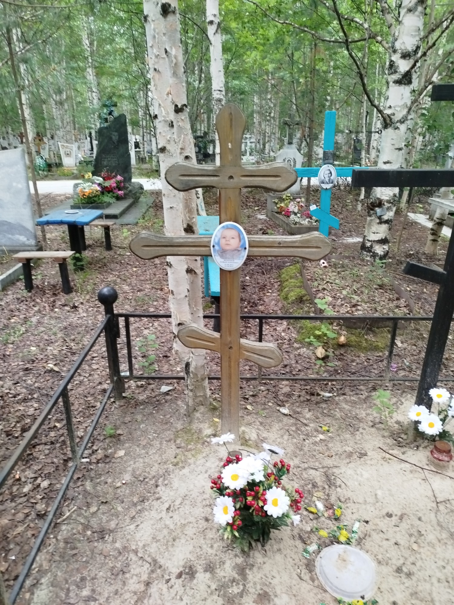 Морозов Андрей Алексеевич