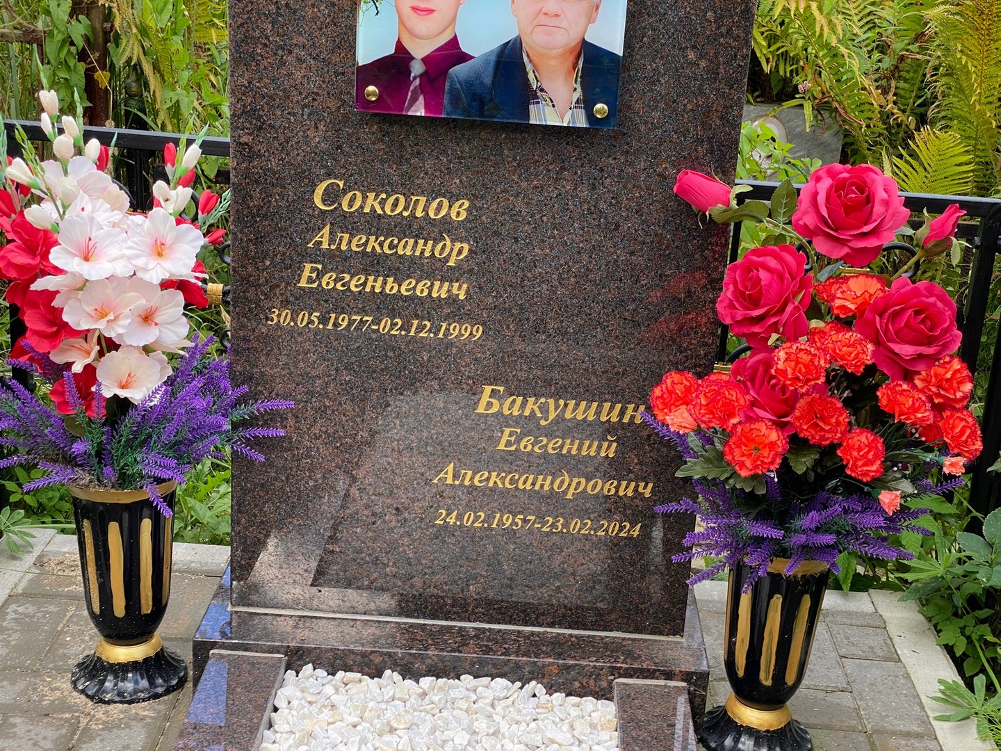 Соколов