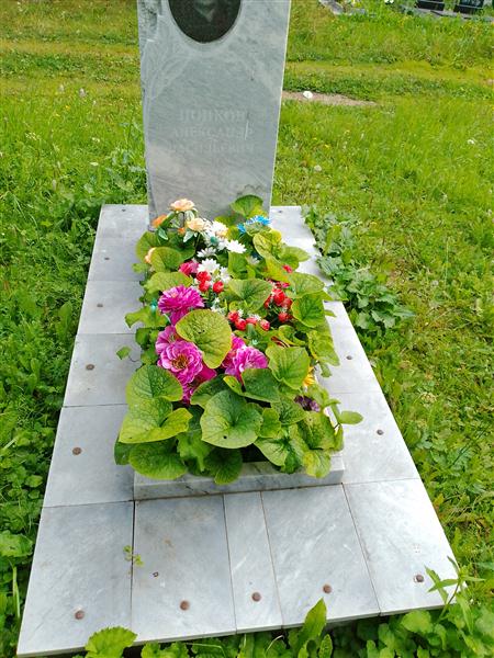 Попков Александр Васильевич