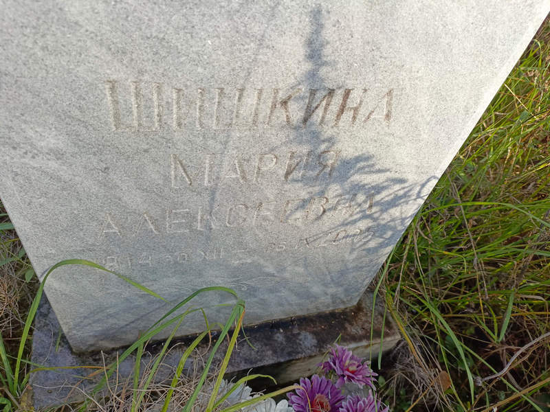 Шишкина