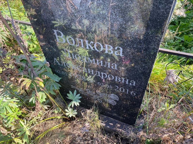 Волкова