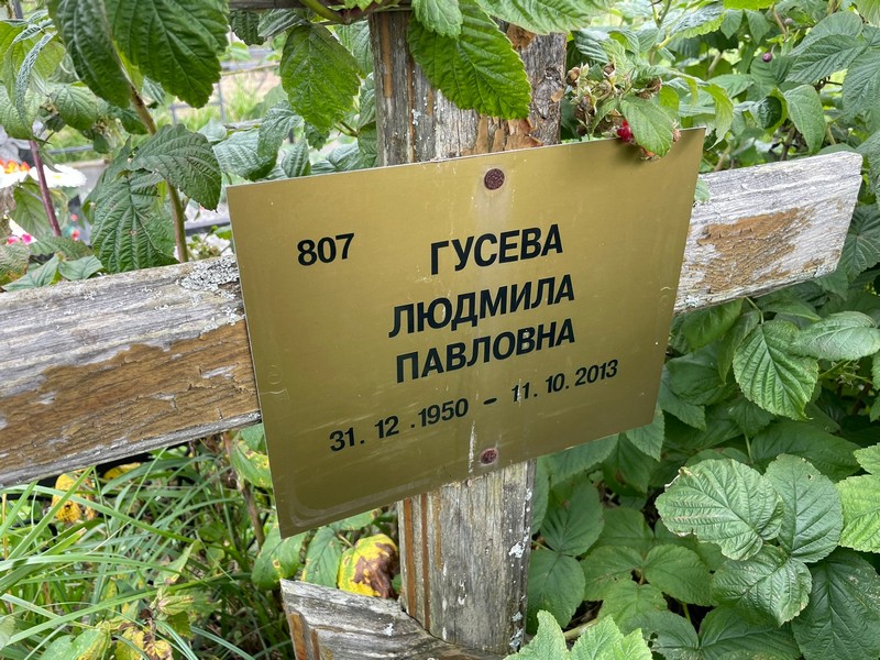 Гусева