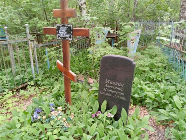 Мавлин Александр Матвеевич