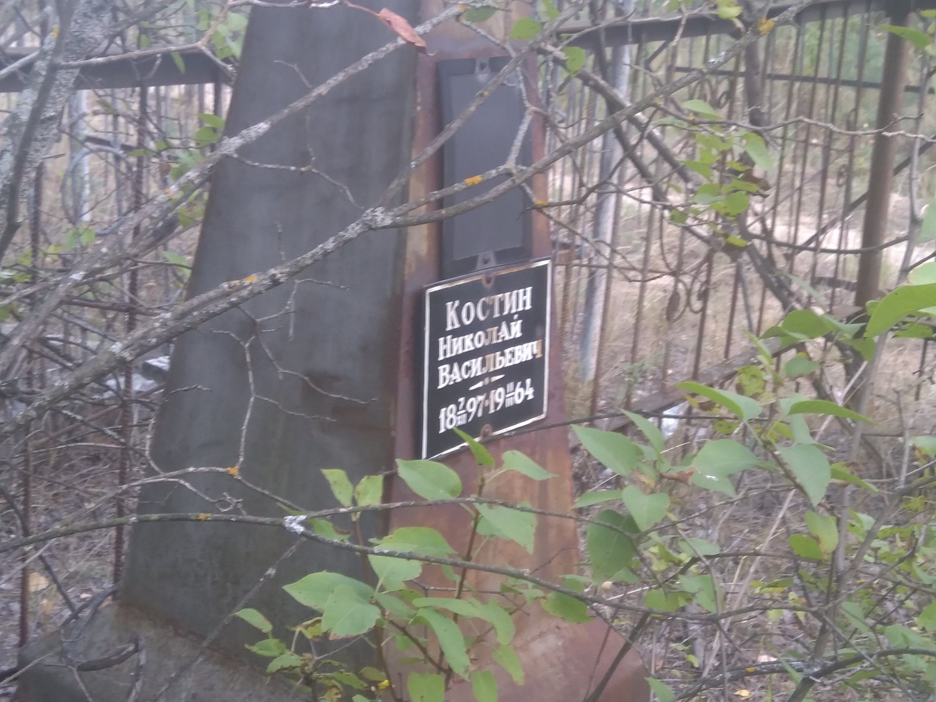 Костин Николай Васильевич