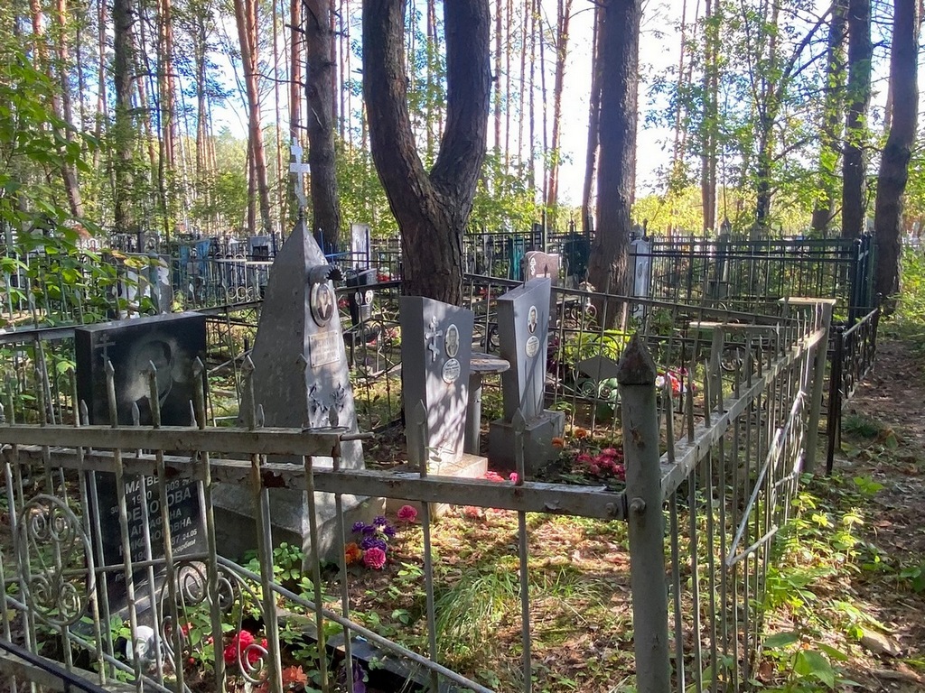 Павлуткина Анастасия Ивановна