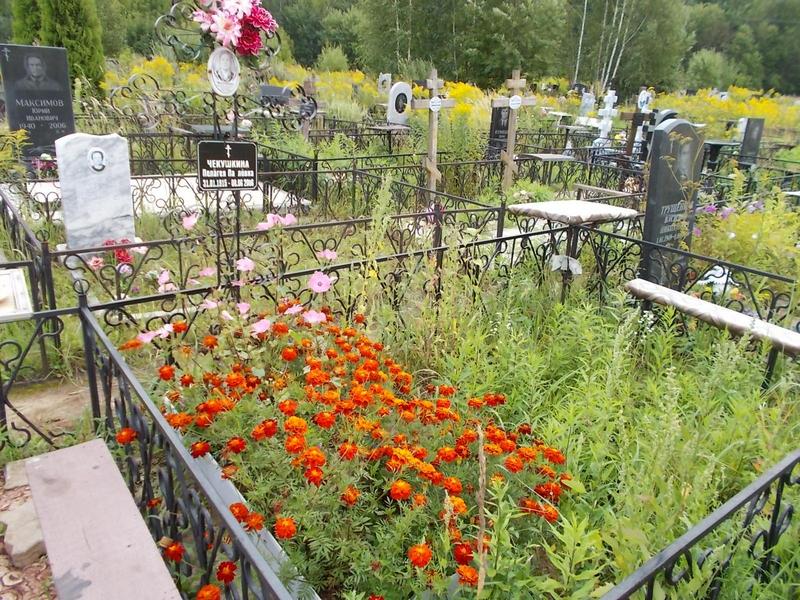 Чекушкина Пелагея Павловна