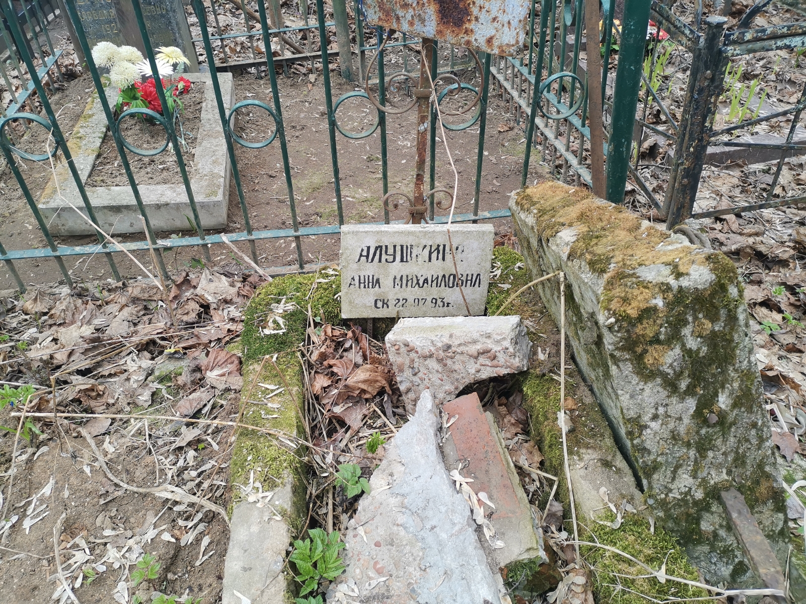 Алушкина Анна Михайловна