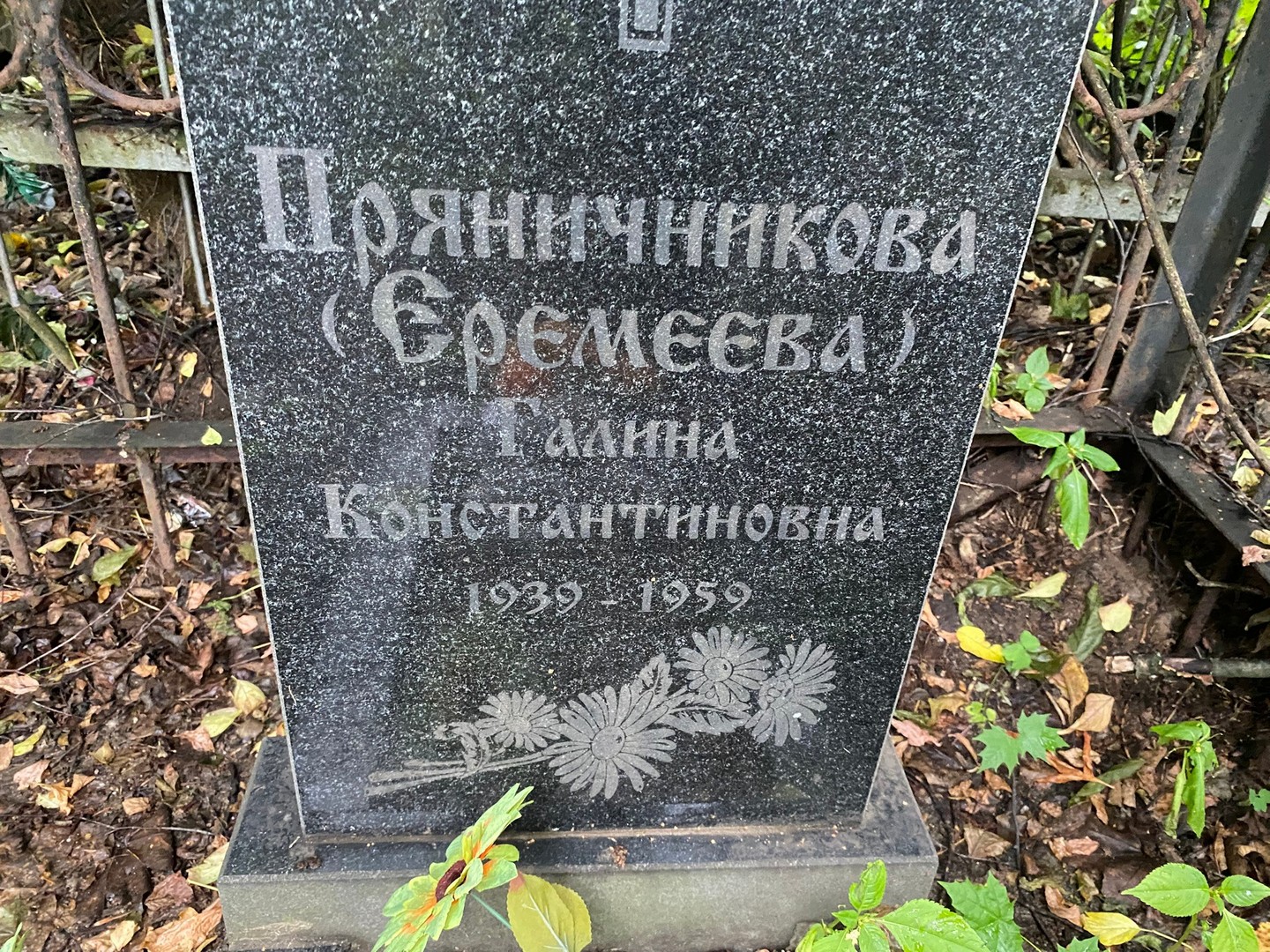 (Еремеева) Пряничникова Галина