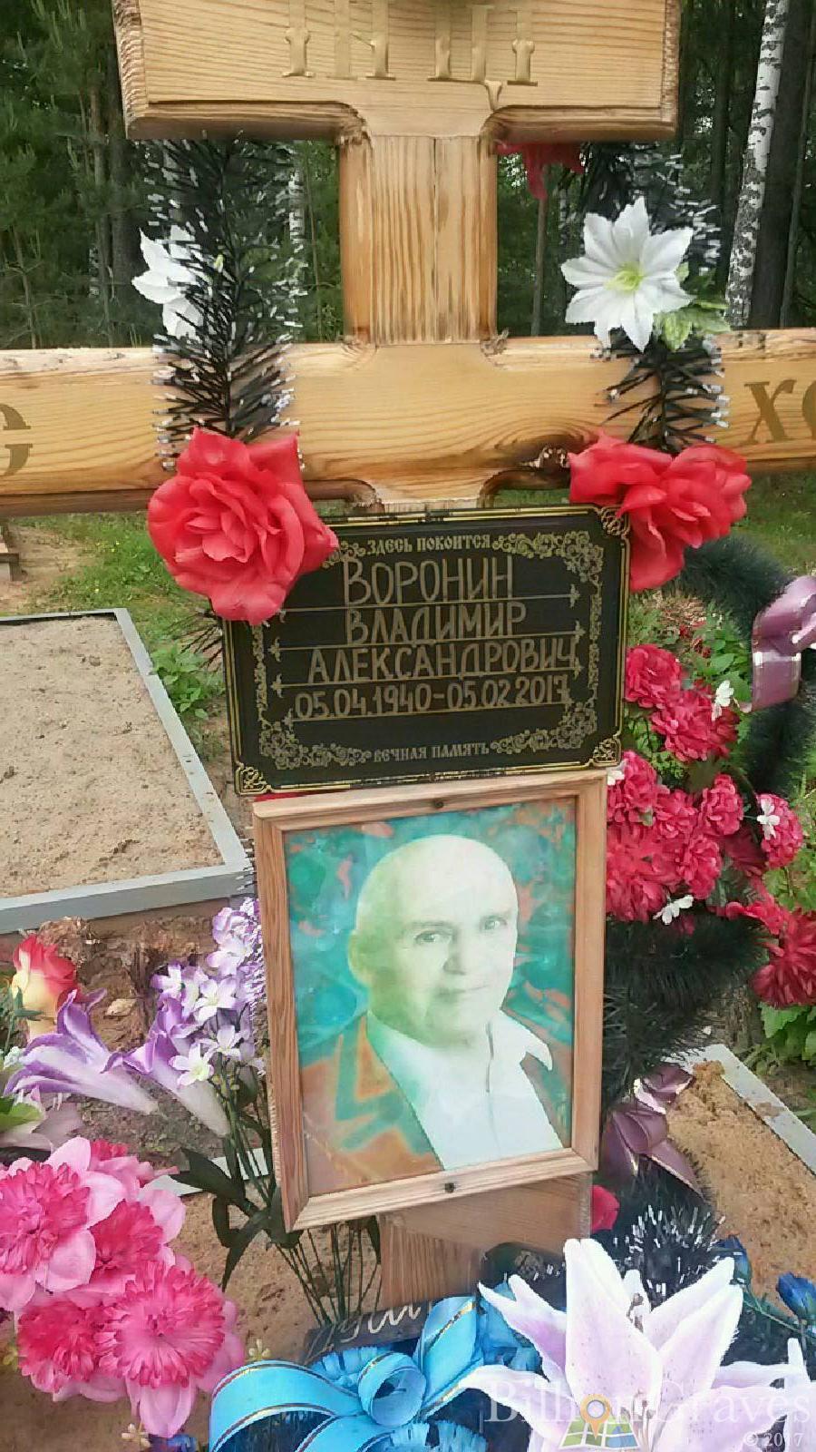 Воронин Владимир Александрович