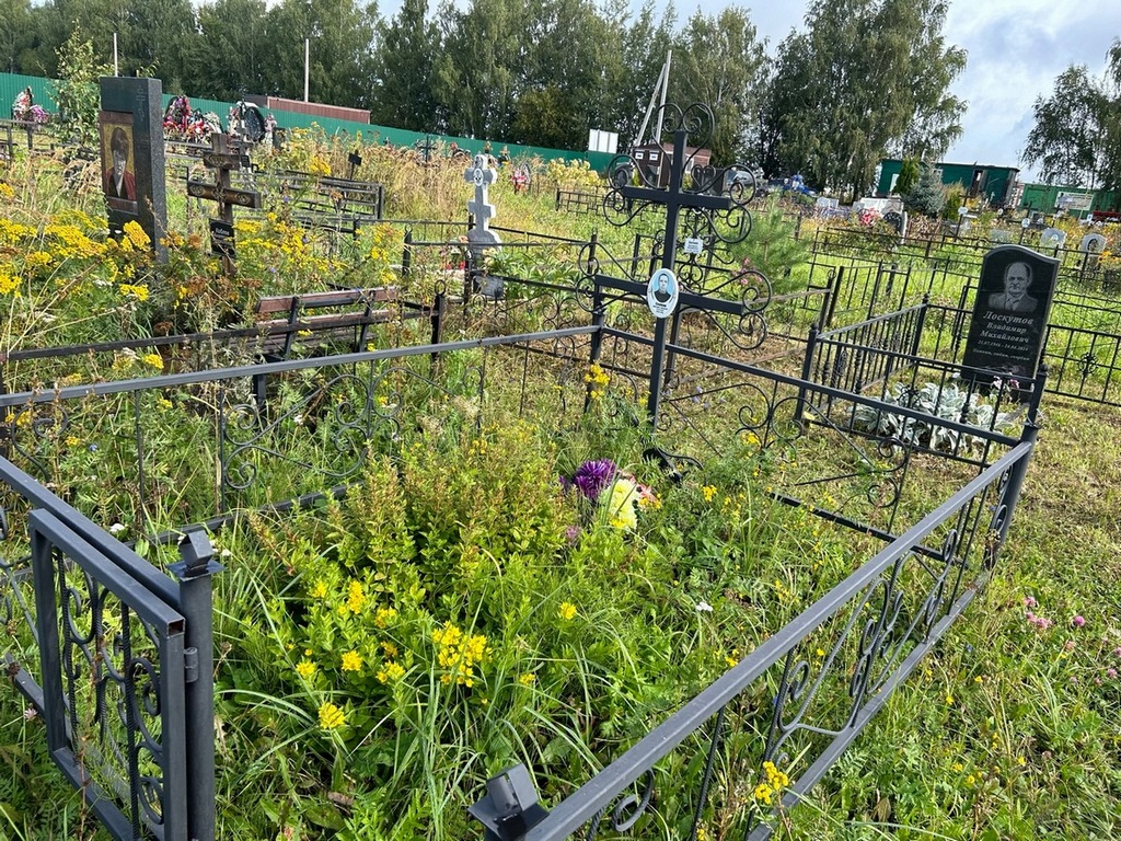 Сиянов Дмитрий Павлович