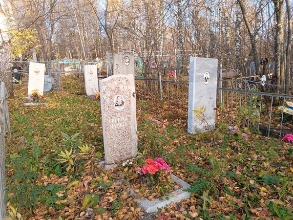 Говоров Василий Николаевич