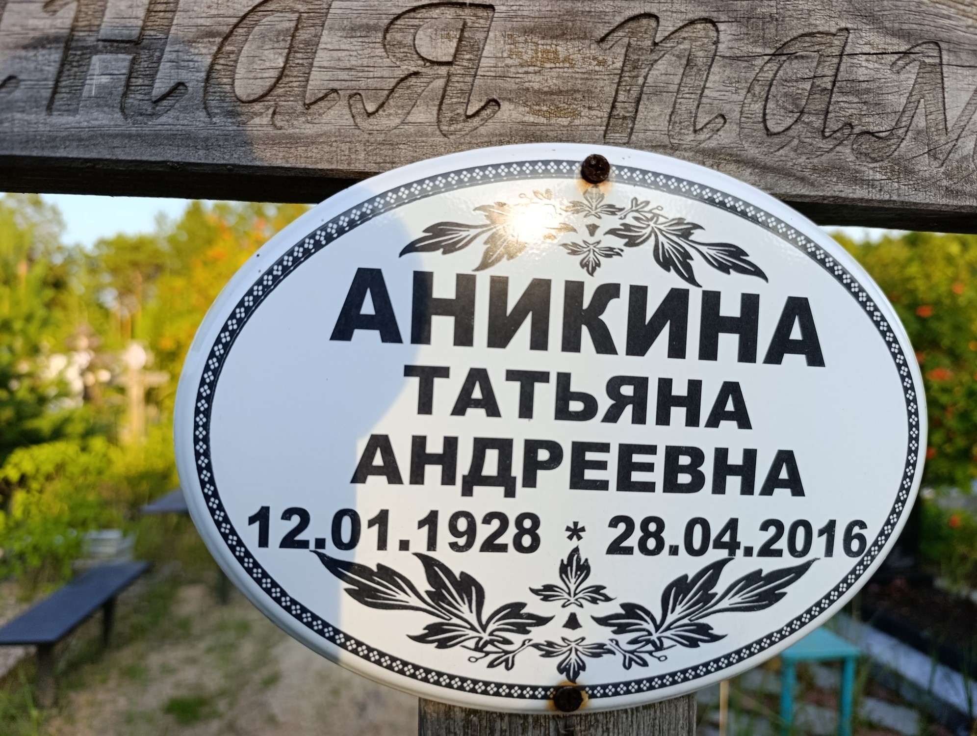 Аникина Татьяна Андреевна
