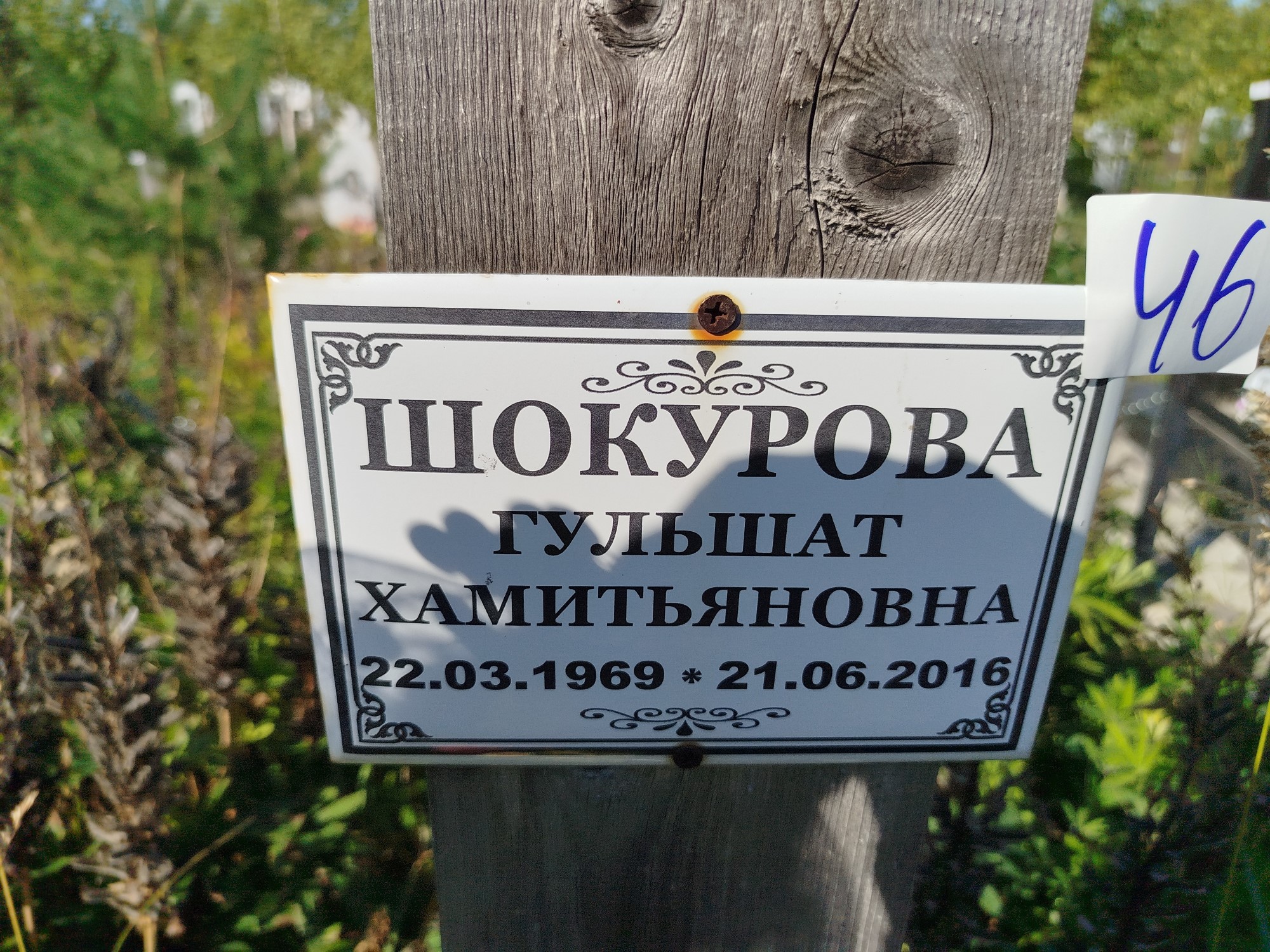 Шокурова Гульшат Хамитьяновна
