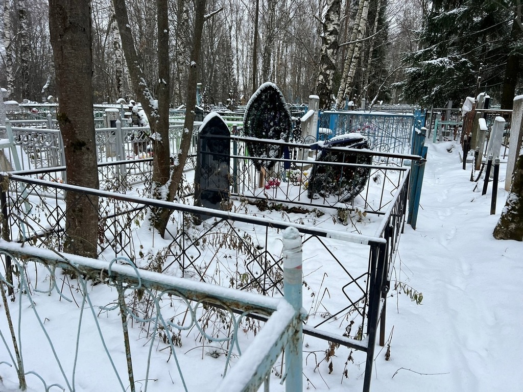 Лурье Раиса Герцевна