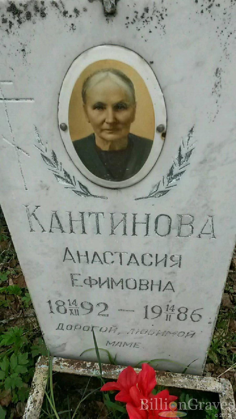 кантинова анастасия ефимовна