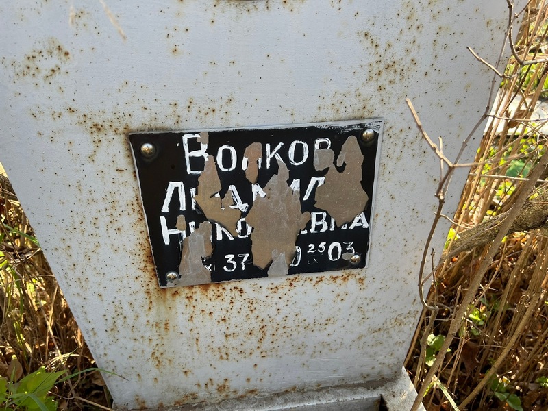 Волкова