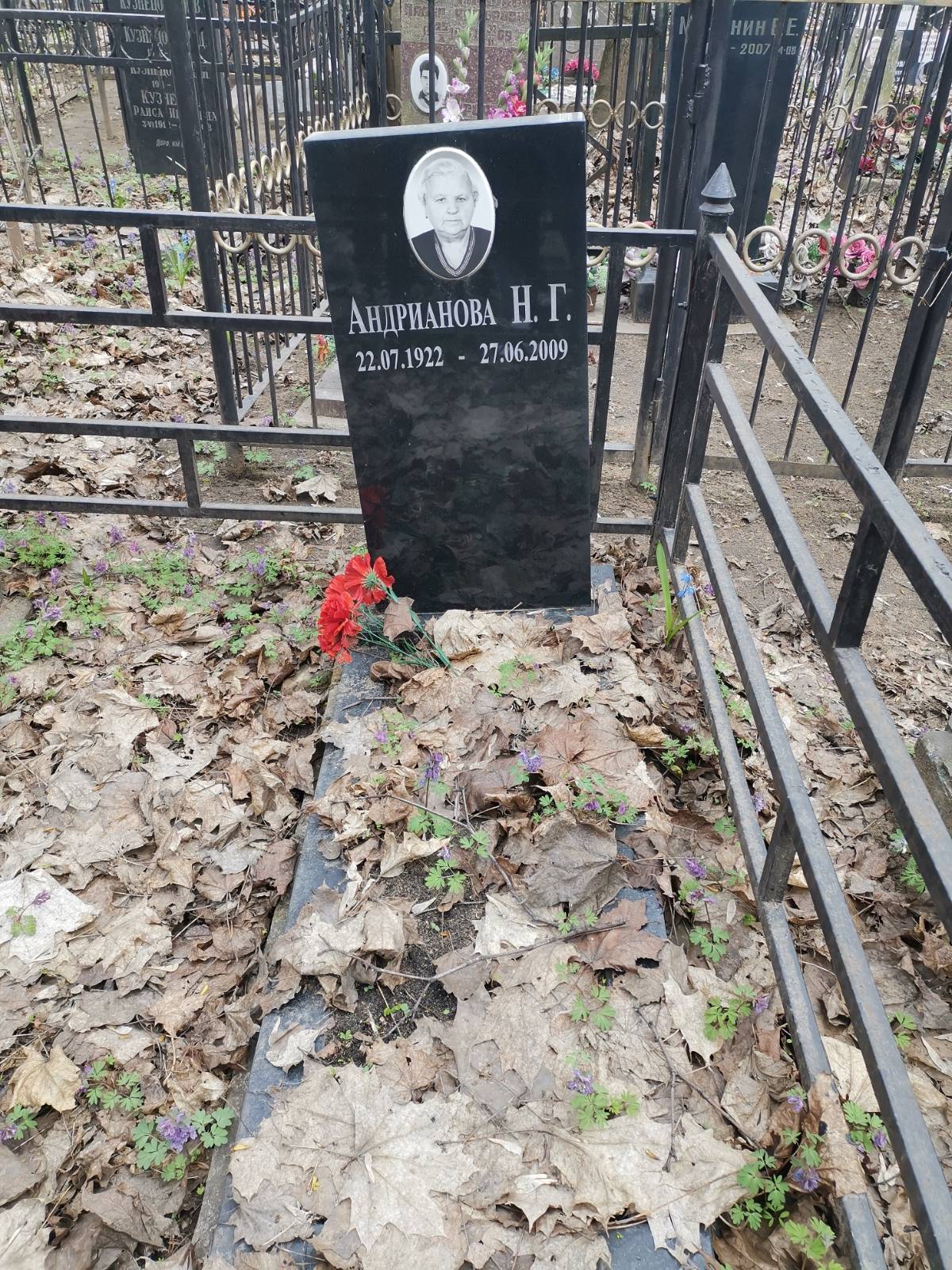 Андрианова Н. Г.