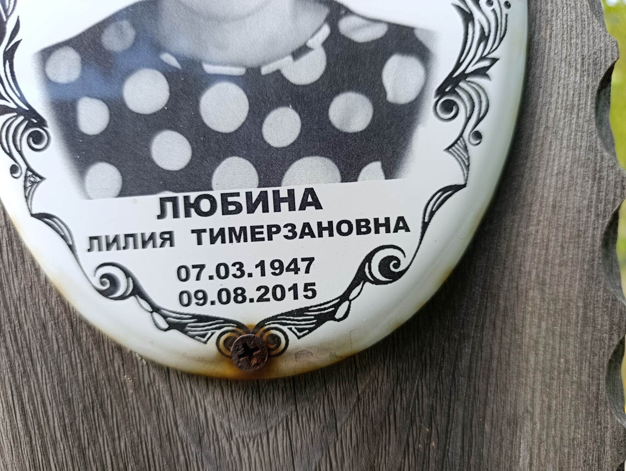 Любина Лилия Тимерзанова