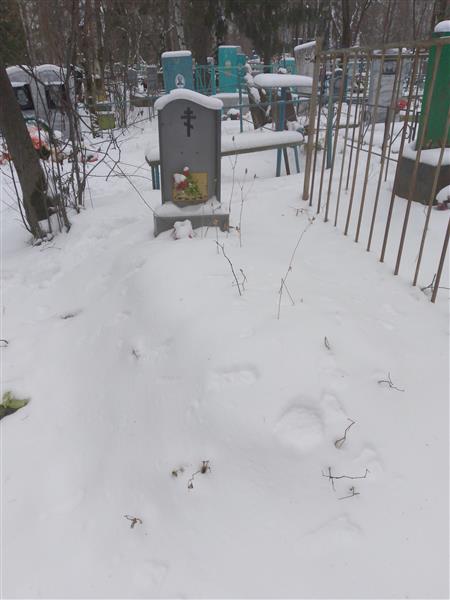 Инкина Наталья Петровна