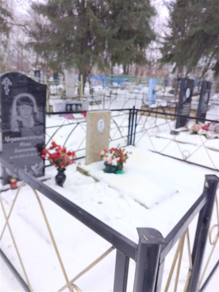 Чертополохова Юлия Евгеньевна